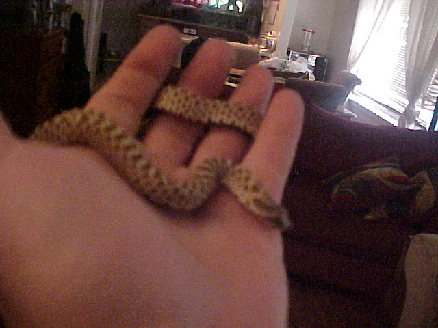 hoggie