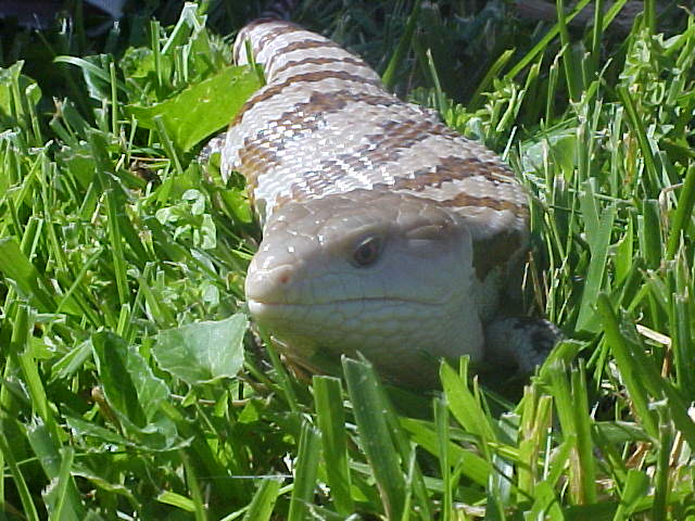 Kamryn outside two