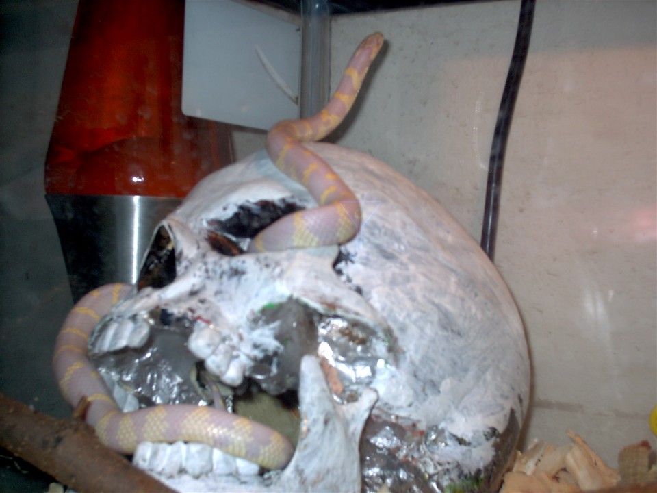 Thulsa Doom