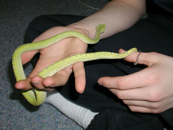 Handling a GTP