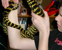 Ted holding Tuki 1