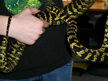 Ted holding Tuki 2