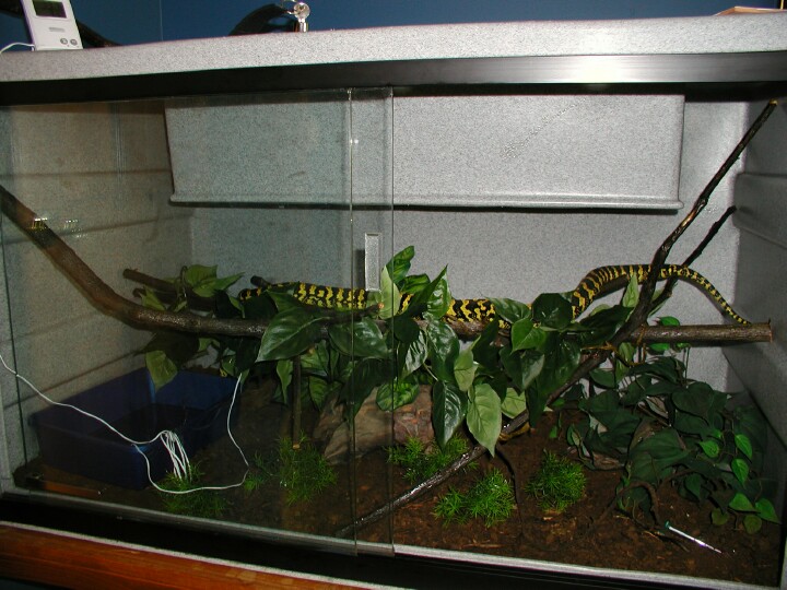 Tuki and her enclosure
