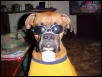 Cool max