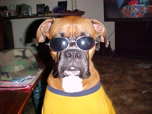 Cool max