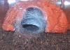 Chromatopelma cyaneopubescens