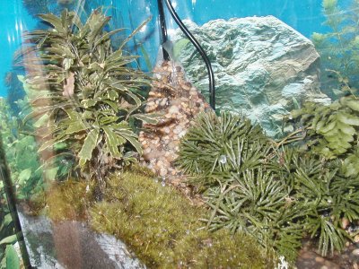 Viquarium waterfall