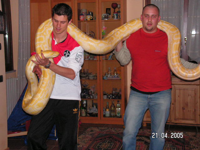Albino Burm
