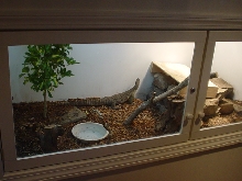 New Enclosure