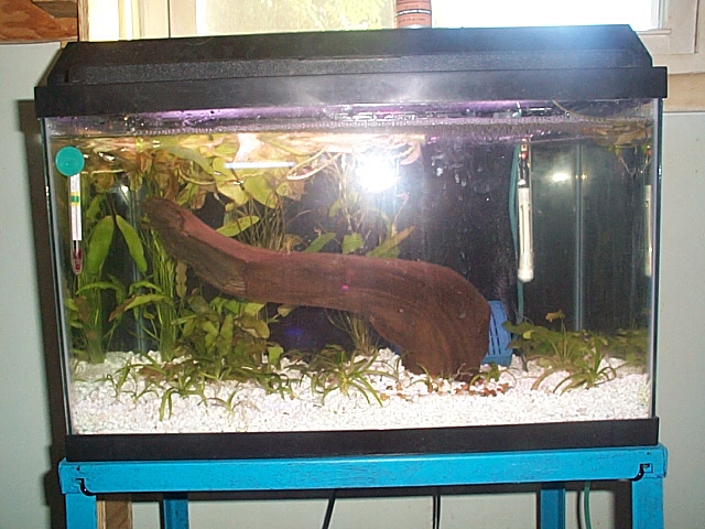 endler tank
