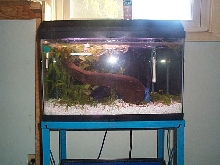 endler tank 2
