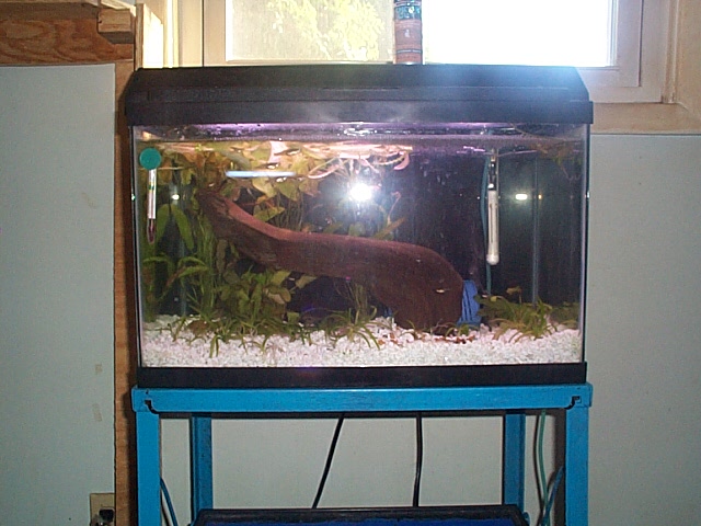 endler tank 2