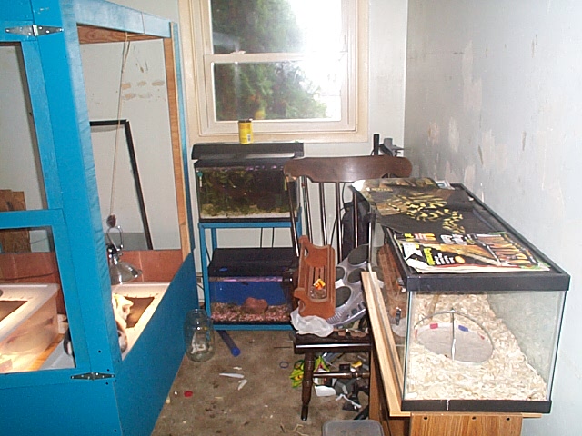 Pet Room 1