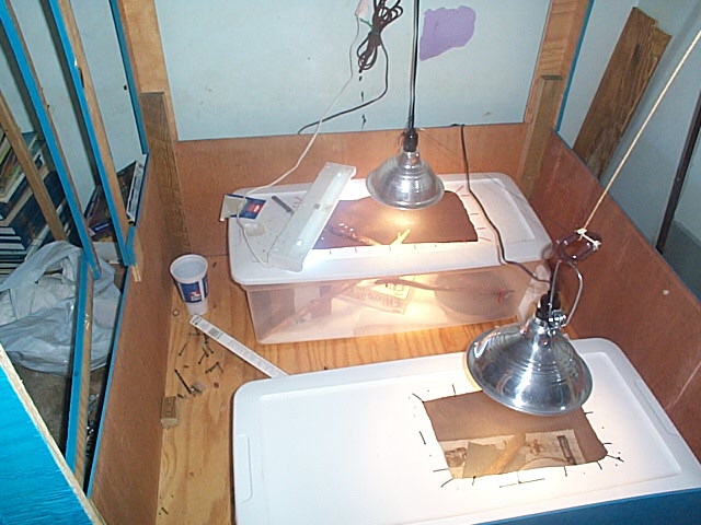 temp plated lizard cages, inside their soon to be cage