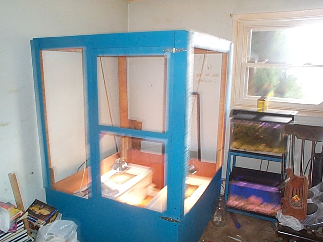 pet room2