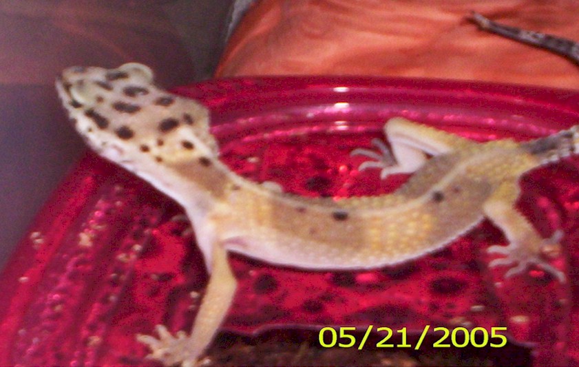 second pic