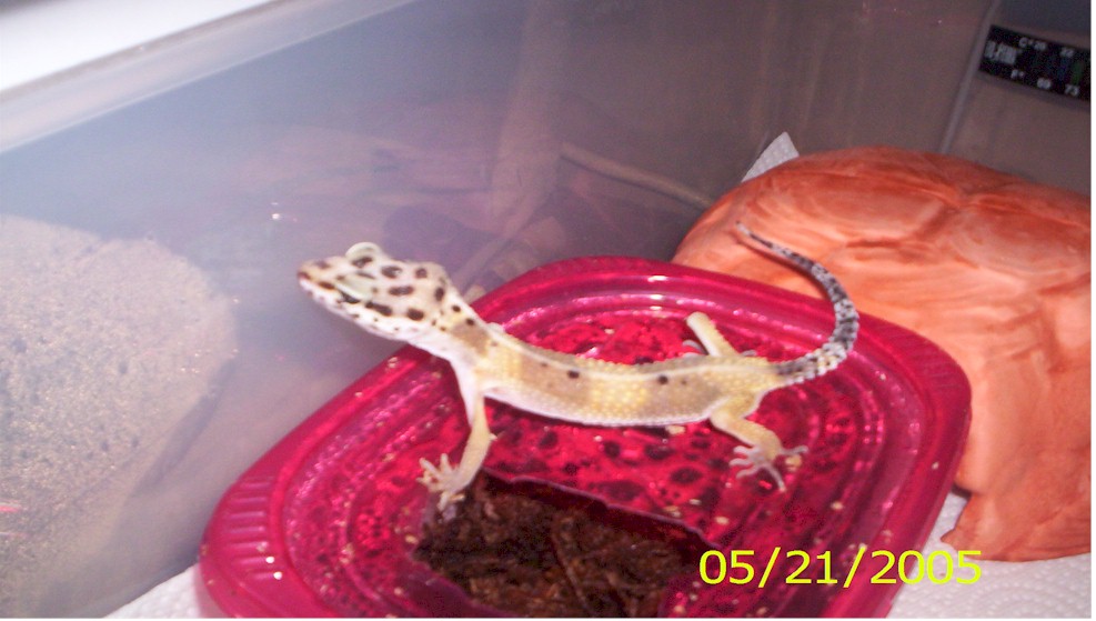 first pic
