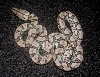 Thirteen ce