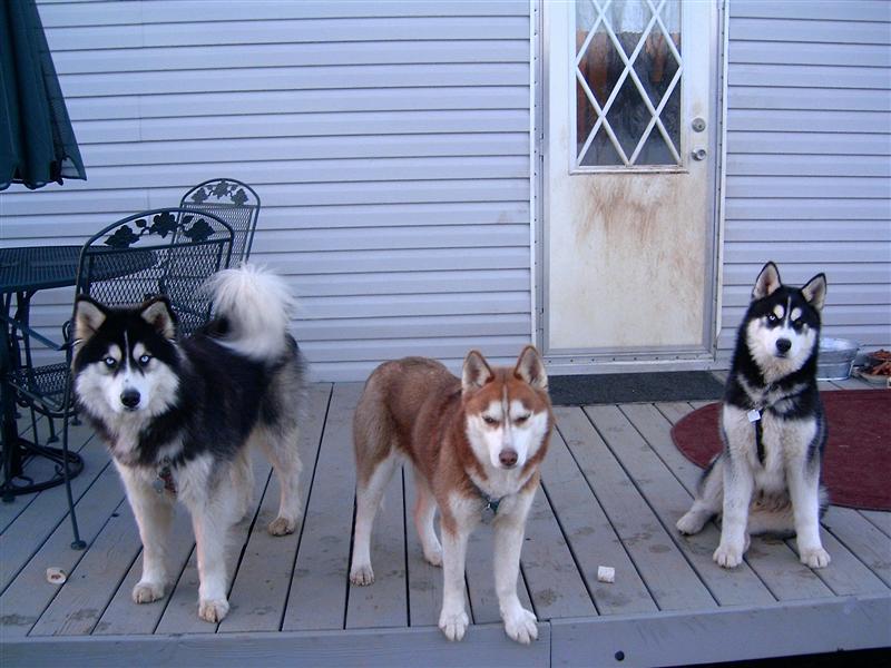 my 3 sibes