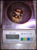 The 6.0cm angonoka hatching