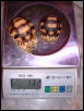 Angonoka hatching comparison