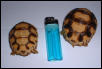 Comparison