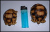 6 cm  and 5 cm Angonoka hatchlings