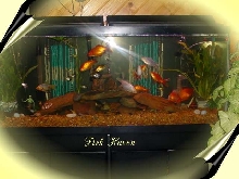 Fish Haven