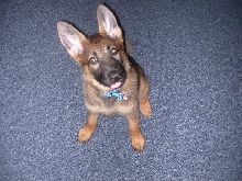 my new baby