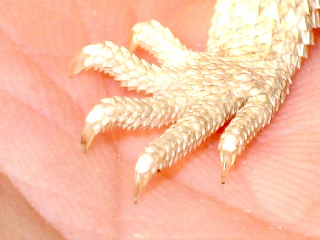 THOSE CLEAR NAILS!!!