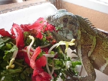 Delicious!