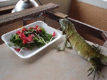 Lunch Time!