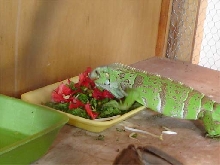 Tania's lunch time!