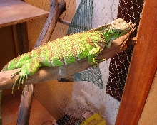 Another pic of her