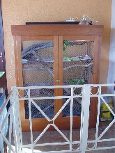 Tania's habitat 2