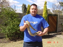 Me and my blood python