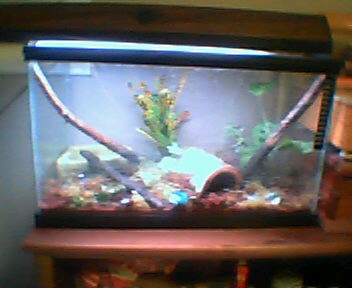 New plants