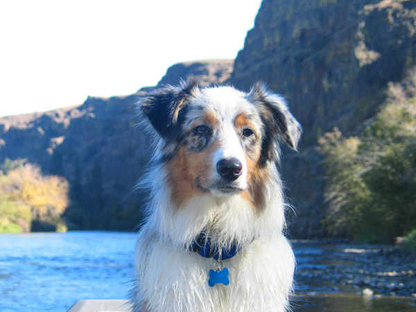 Fishing Buddy!