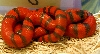 2008 - 1.0 Hypo Hondo poss. het Anery and Albino