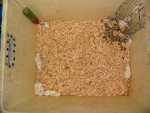 home made cage
