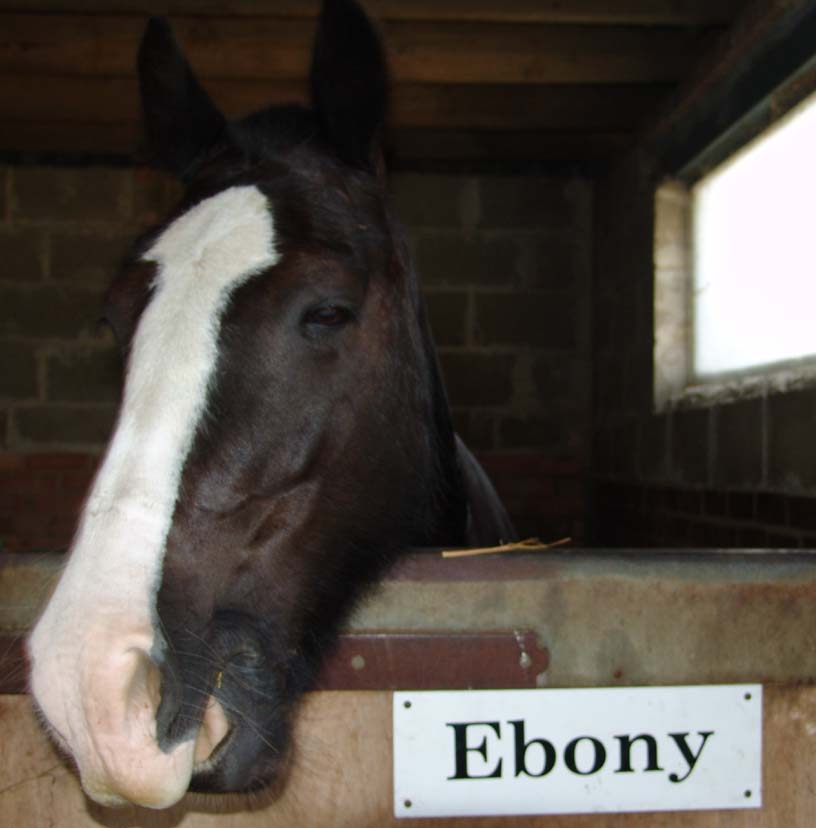 Ebony