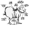 Horse Car