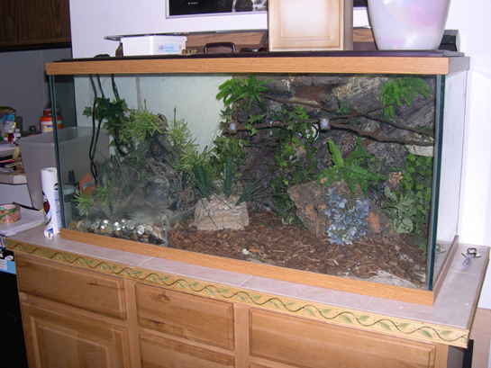 My Custom-made Tank