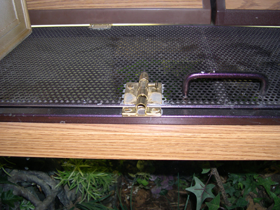 Security latch