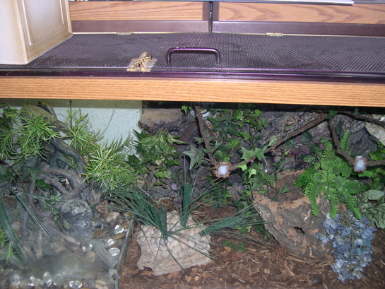 Security door top