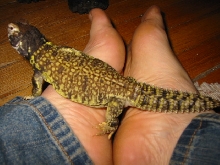 Moe the Mali and My Feet