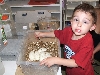 More Eggs !!!