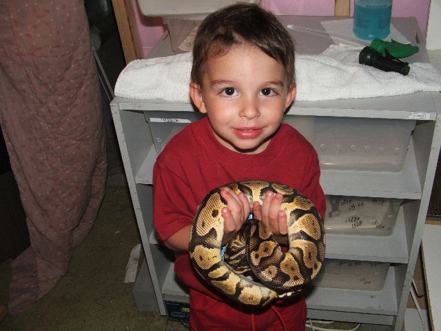 Gavin w/ Pastel