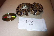 1500g