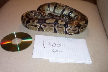 1900g